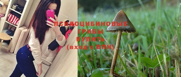 mdpv Лабытнанги