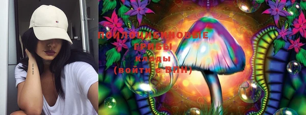 mdpv Лабытнанги