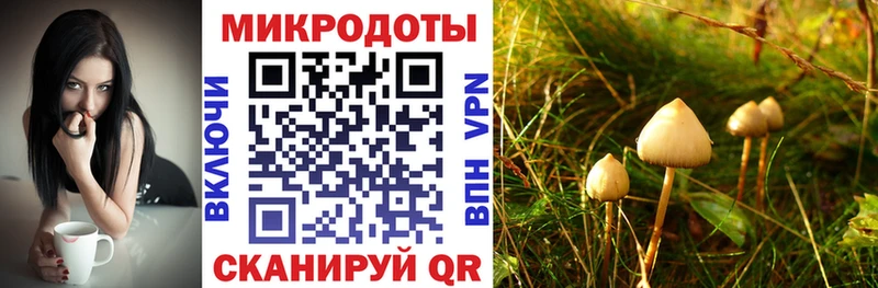 Купить закладки  Воронеж  Галлюциногенные грибы Cubensis